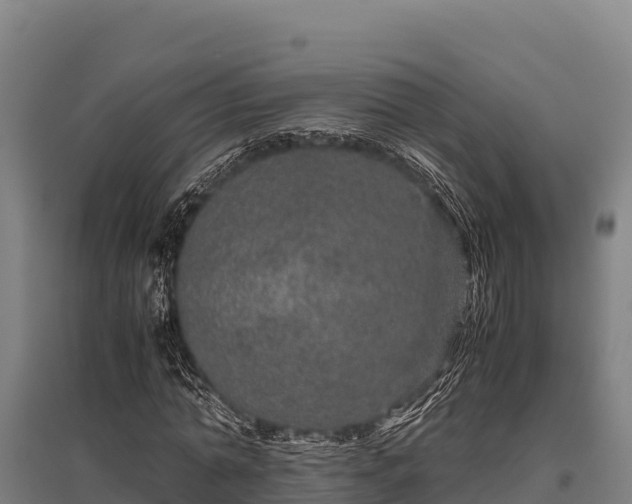 X0000095950774200801181421