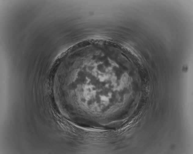 X0000095950775200801181421