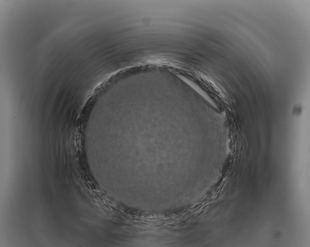 X0000095950776200801181421