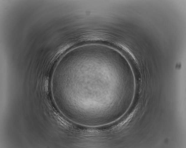 X0000095950777200801181421