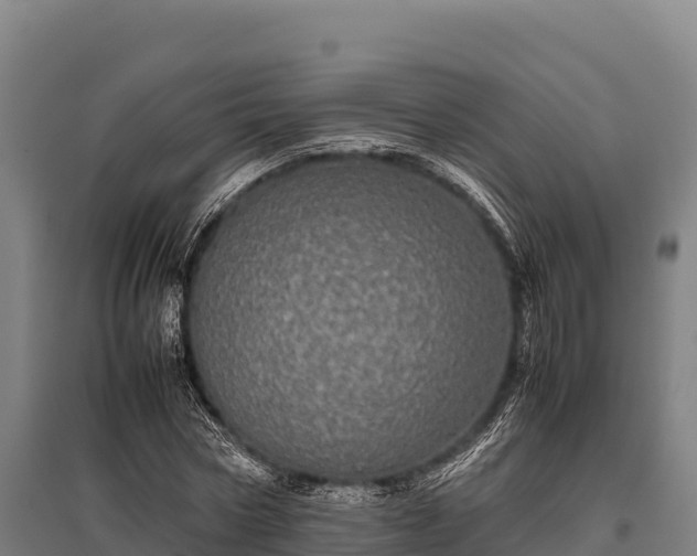 X0000095950778200801181421