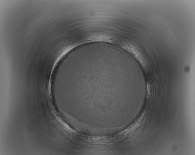 X0000095950780200801181421