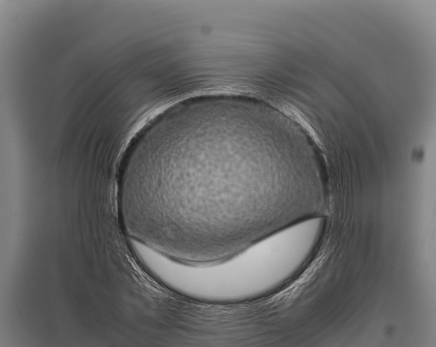 X0000095950781200801181421