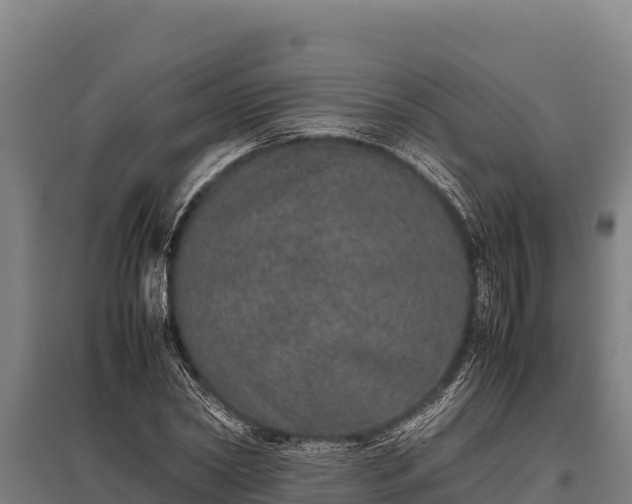 X0000095950782200801181421