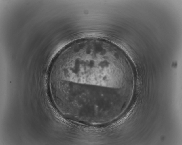 X0000095950783200801181421