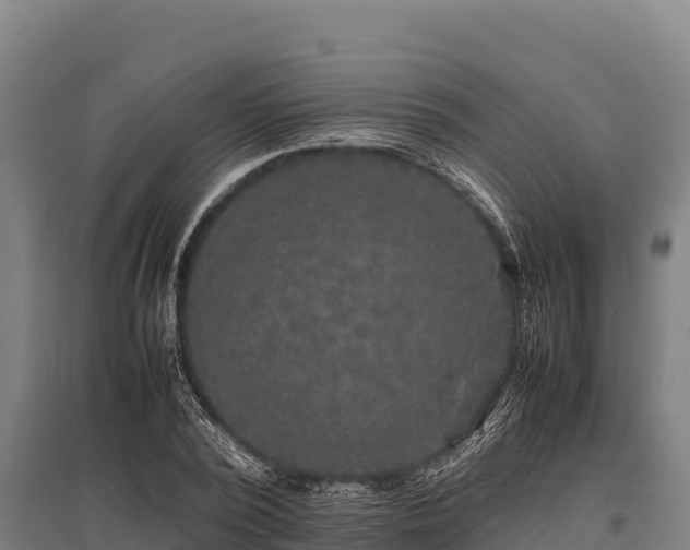 X0000095950784200801181421