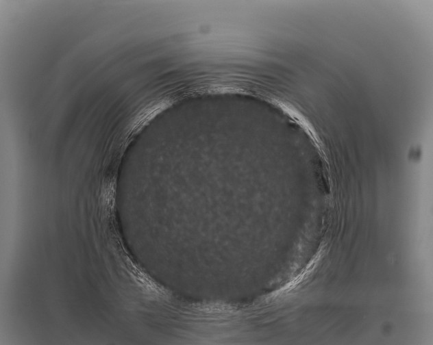 X0000095950785200801181421