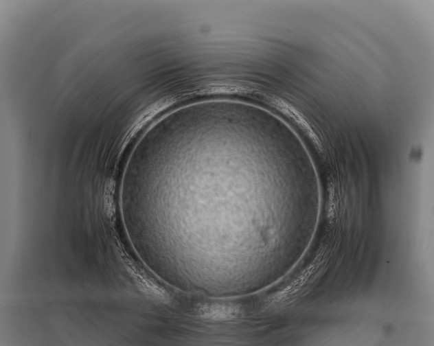 X0000095950786200801181421