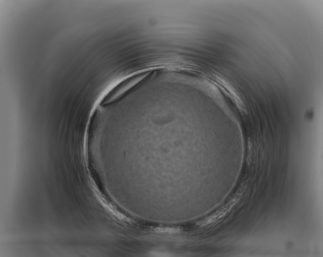 X0000095950788200801181421