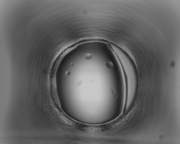 X0000095950789200801181421