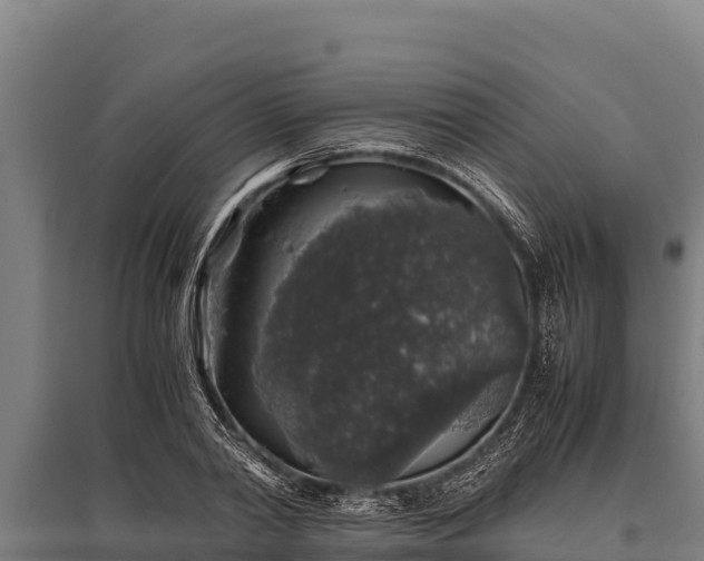 X0000095950790200801181421