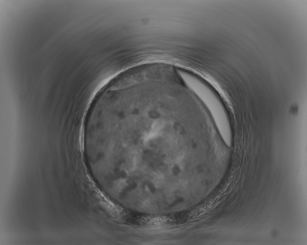 X0000095950791200801181421