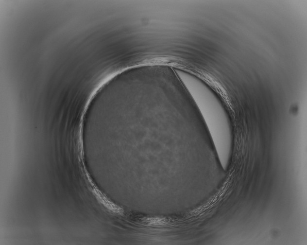 X0000095950792200801181421