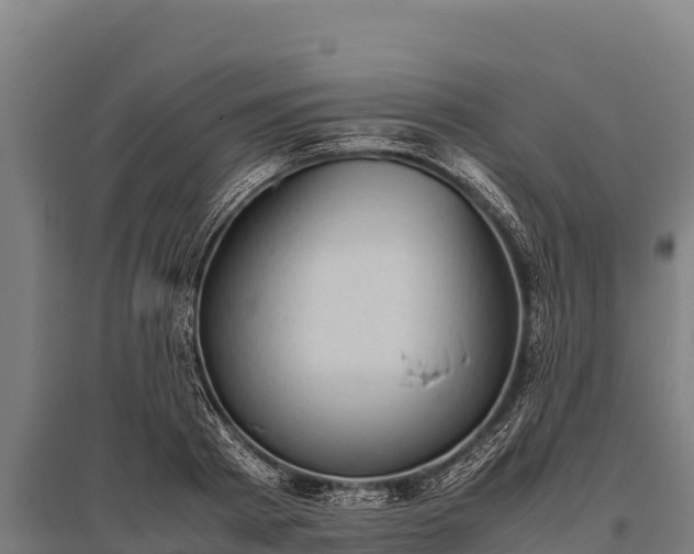 X0000095950793200801181421