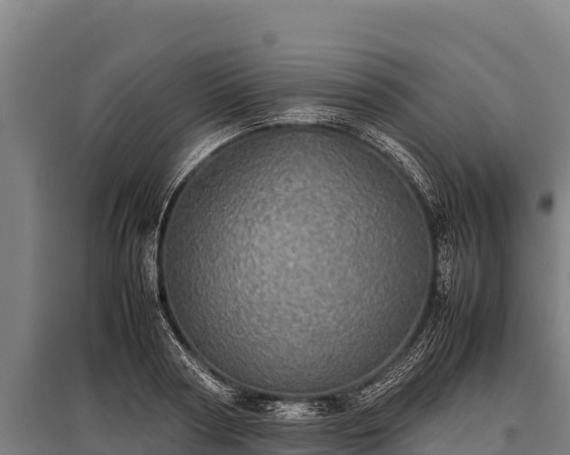 X0000095950794200801181421