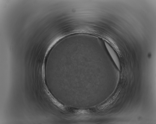 X0000095950796200801181421