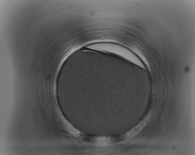 X0000095950797200801181421