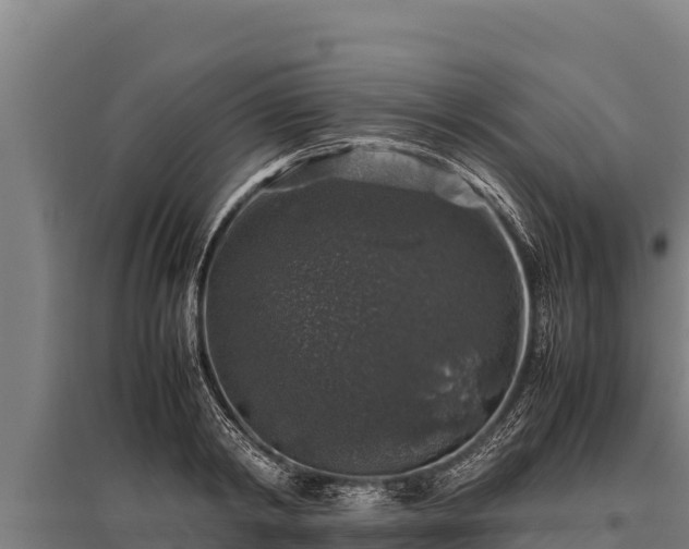 X0000095950798200801181421