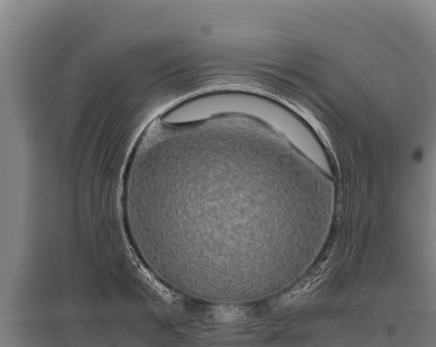 X0000095950799200801181421