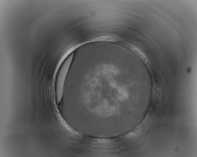 X0000095950800200801181421