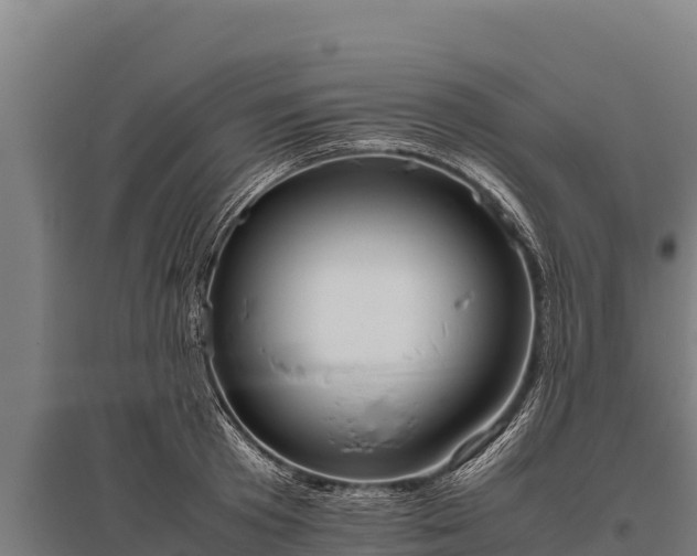 X0000095950801200801181421