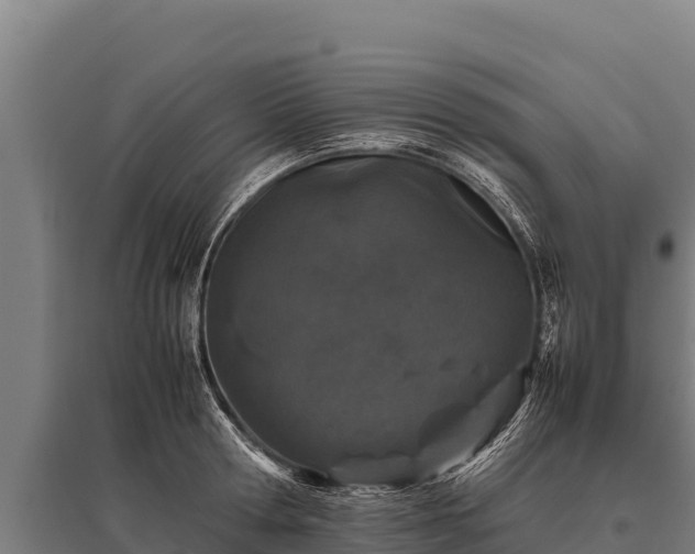 X0000095950802200801181421