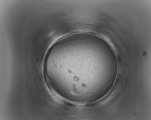 X0000095950803200801181421