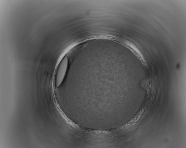 X0000095950804200801181421