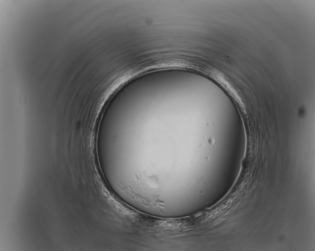 X0000095950805200801181421