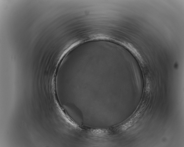 X0000095950806200801181421