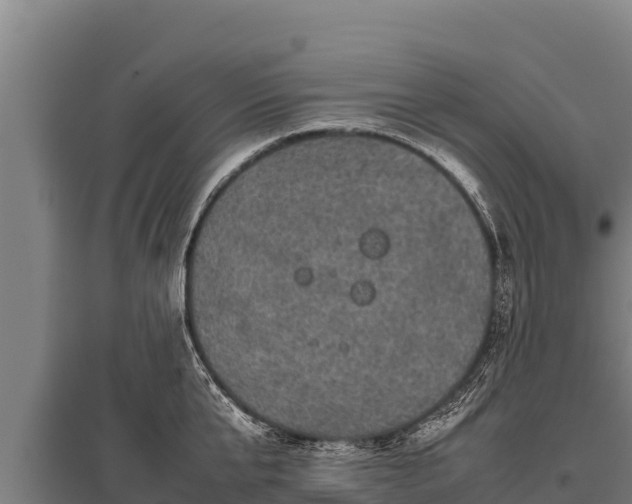 X0000095950807200801181421