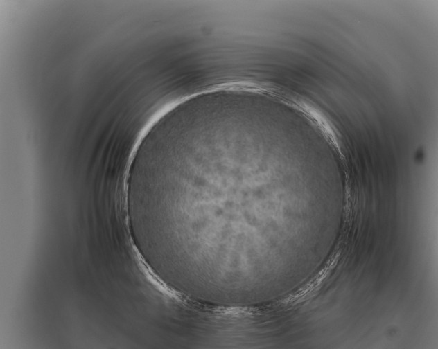 X0000095950808200801181421