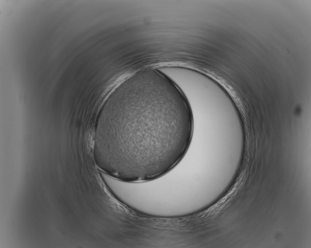 X0000095950809200801181421