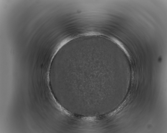 X0000095950810200801181421