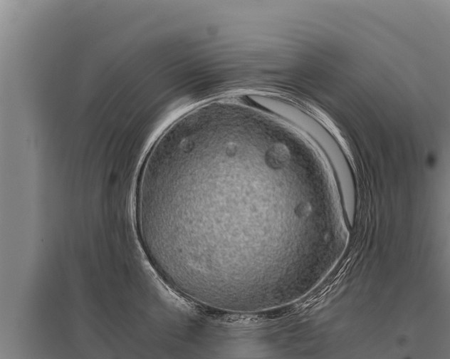 X0000095950811200801181421