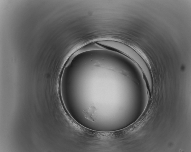 X0000095950813200801181421