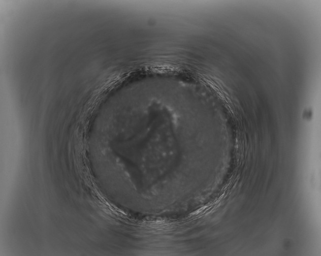 X0000095950817200801181420