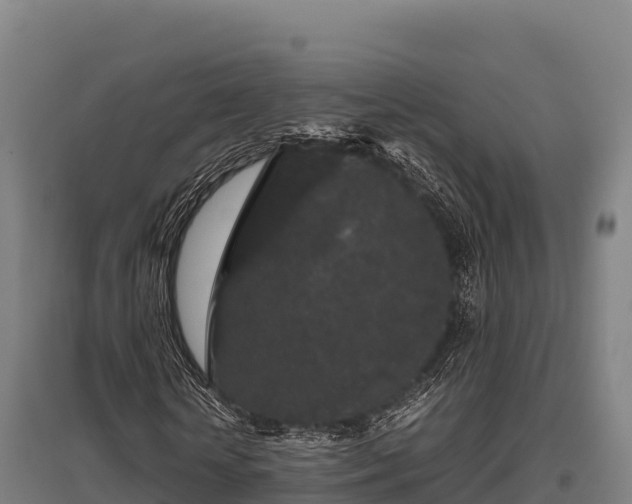 X0000095950818200801181420