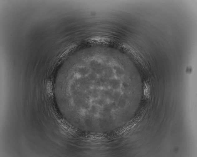 X0000095950819200801181420