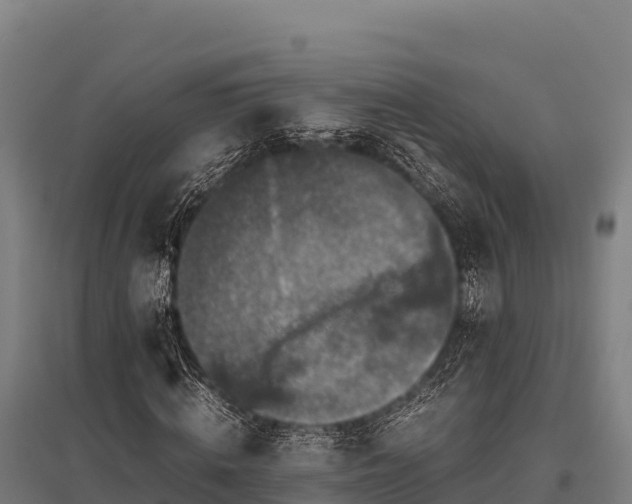 X0000095950820200801181420