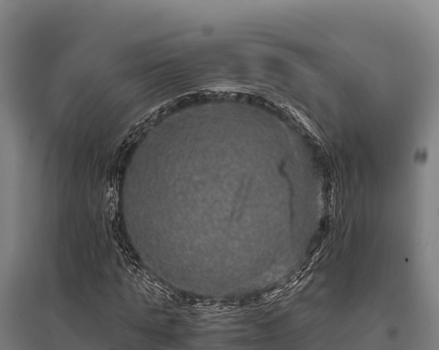 X0000095950821200801181420