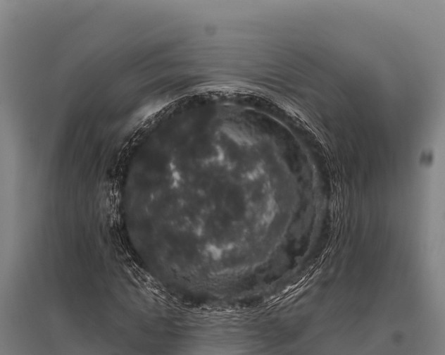 X0000095950822200801181420