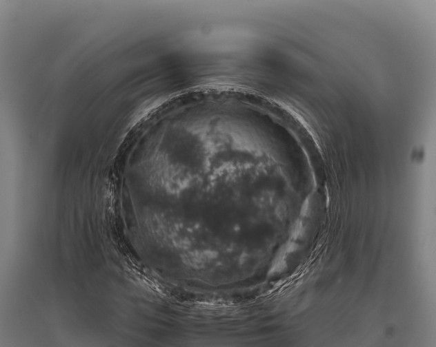 X0000095950823200801181420