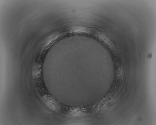 X0000095950824200801181420