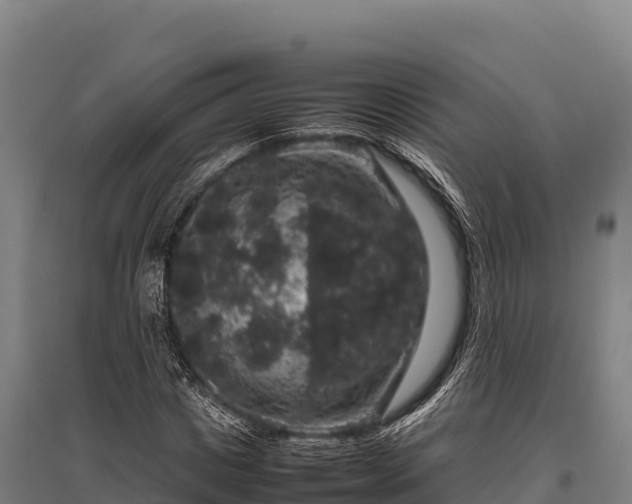 X0000095950825200801181420