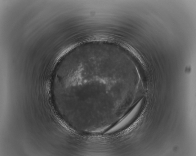 X0000095950826200801181420