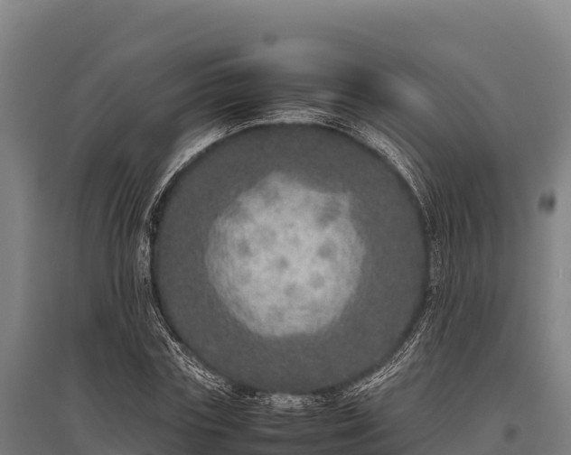 X0000095950827200801181420