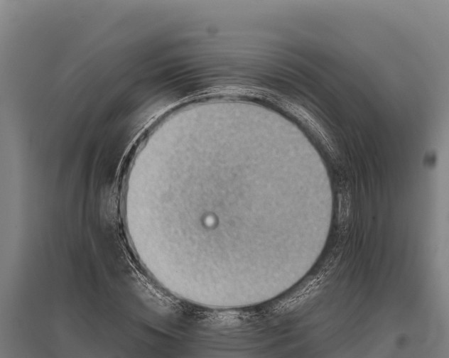 X0000095950828200801181420