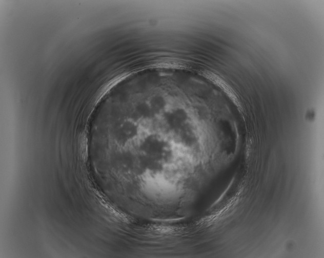 X0000095950829200801181420