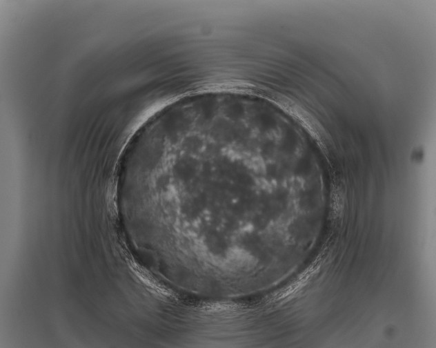 X0000095950830200801181420